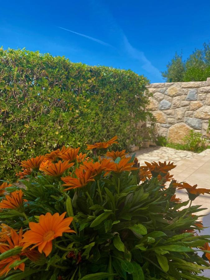 Villa Cvita Povljana Dış mekan fotoğraf