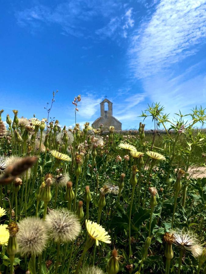 Villa Cvita Povljana Dış mekan fotoğraf