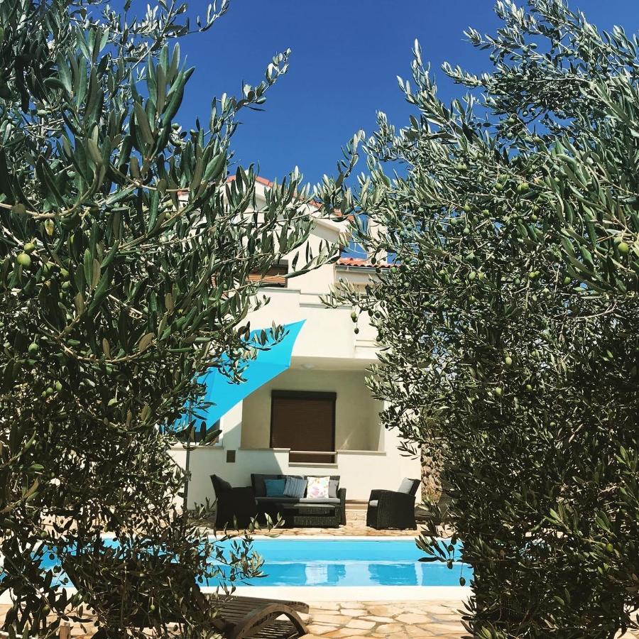 Villa Cvita Povljana Dış mekan fotoğraf