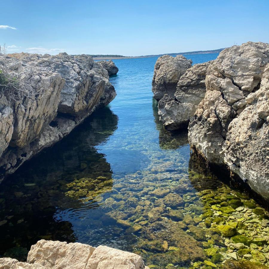 Villa Cvita Povljana Dış mekan fotoğraf