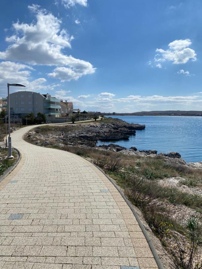 Villa Cvita Povljana Dış mekan fotoğraf