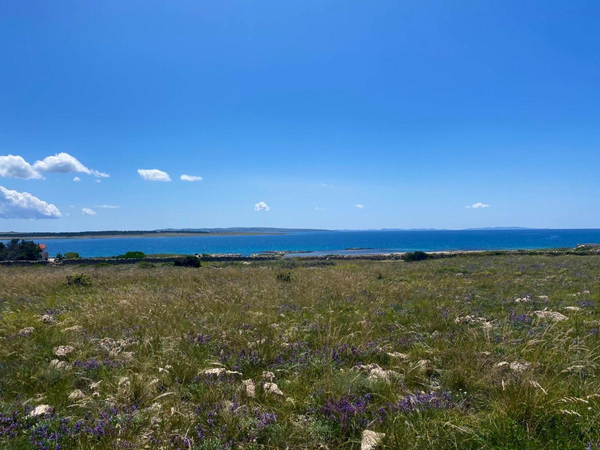 Villa Cvita Povljana Dış mekan fotoğraf