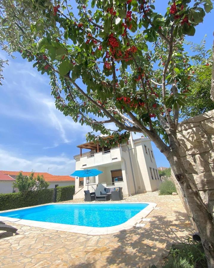 Villa Cvita Povljana Dış mekan fotoğraf